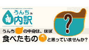 【図解】うんちは何でできている？