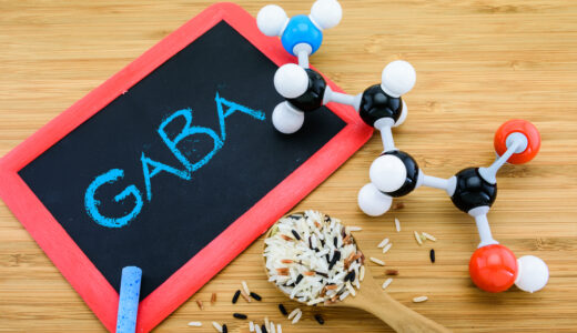 腸内細菌とストレス解消成分「GABA」の関係