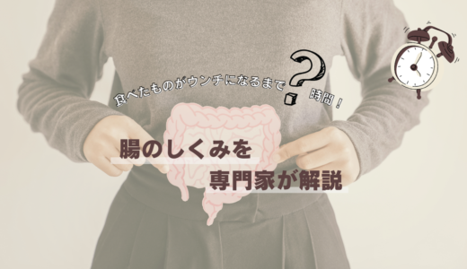 食べたものがウンチになるまで〇時間！腸のしくみを専門家が解説